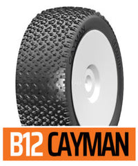 GRP B12 CAYMAN - MOUNTED (2)<br>White Wheels